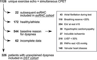 Exercise Systolic Reserve and Exercise Pulmonary Hypertension Improve Diagnosis of Heart Failure With Preserved Ejection Fraction